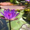 clef9 soins énergétiques et holistiques Reiki