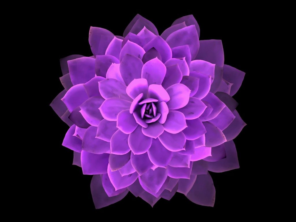 soins holistiques reiki amiens