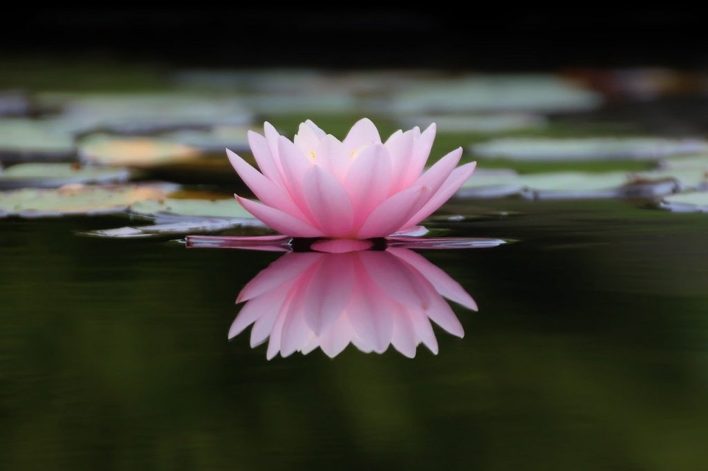 soins énergétiques et holistiques reiki
